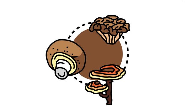 Modern mushroom cultivation technology providing fresh fungi for healthy eating, agricultural business, and sustainable organic farming throughout the year