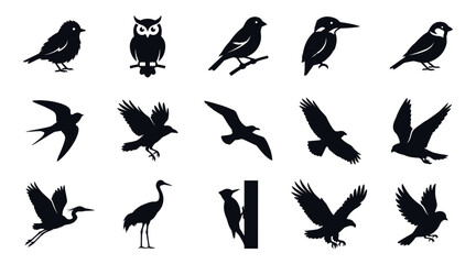 Obraz premium Set of bird silhouettes