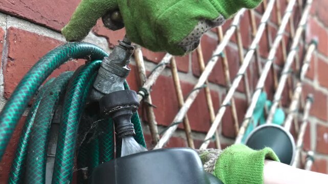 Gloved hand turns garden tap as water pours into a plastic watering can beside a coiled hose on a brick wall, showing backyard chores, irrigation, and home gardening routine.