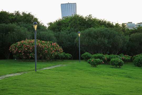 Lush Park Lawn with Flowering Shrubs and Urban Skyline
