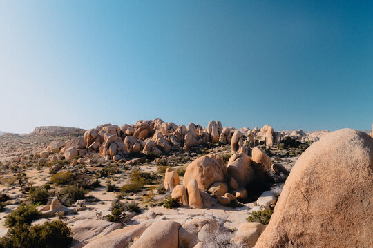 Sunny day over rock formations in Joshua Tree