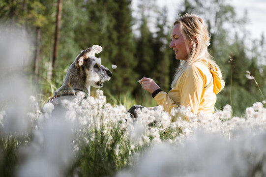 Woman and her dog sit in a field of cottongrass