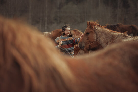 A young girl among a group of horses on a rural farm