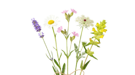 Fototapeta premium Delicate assorted wildflower bouquet tied together isolated against pure white studio background for spring decor with featuring soft pastel petals against clean white background