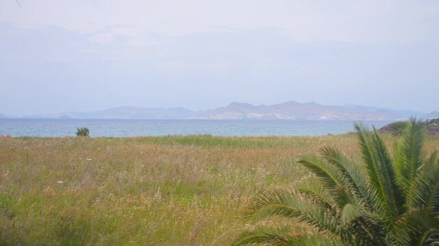 A view from a bus window traveling through the lush rural landscapes of Kos in Greece in 4K slow motion 120fps