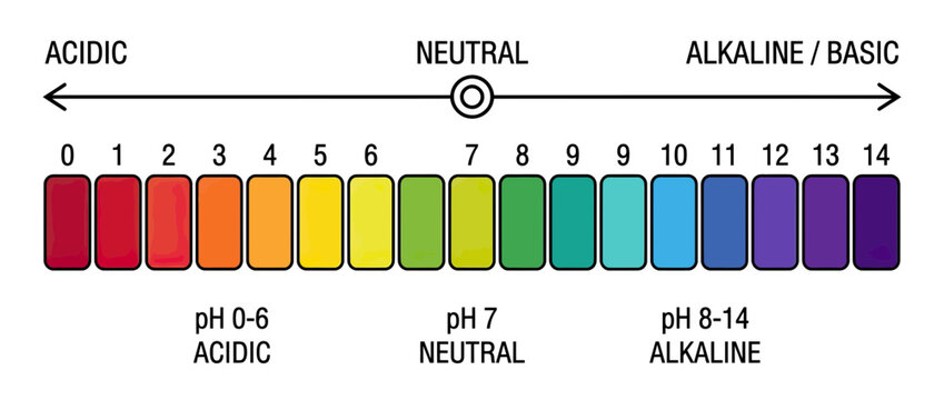 pH scale chart with color indicators