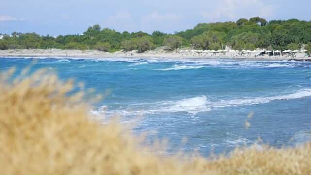 A calm beach scene with a single tree overlooking turquoise waves in 4K slow motion 120fps