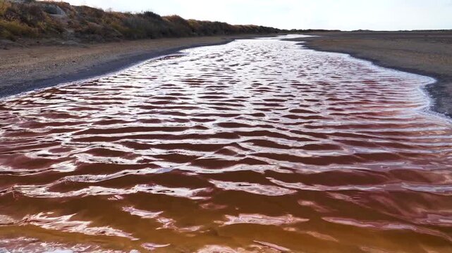 Salmon-colored water in salty river in desert. Color of water due to Dunaliella salina and Salinibacter ruber. Pink lake, pink river with attractive play of waves. Dynamic background for design