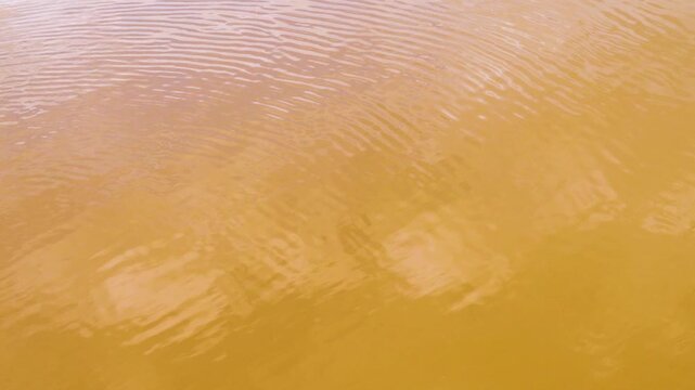 Salmon-colored water in a salty river in the desert. The color of the water due to Dunaliella salina and Salinibacter ruber. Pink lake, pink river