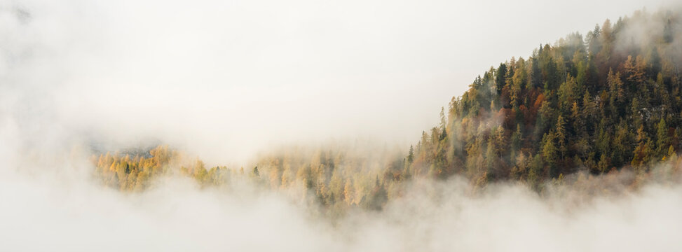 Autumn forest landscape with colorful trees emerging through dense fog provides nature tourism copy space offering this mountain destination, Sella Nevea,Julian Alps,Chiusaforte,Friuli,Italy.