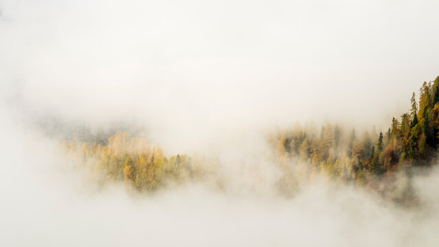 Autumn forest trees rising through thick morning fog in a misty mountain landscape, providing nature copy space for ideal tourism exploration, Sella Nevea, Julian Alps, Chiusaforte, Friuli, Italy.