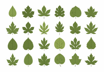 Naklejka premium Collection of various green cannabis leaf illustrations
