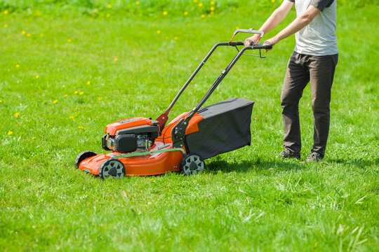 Young adult man pushing orange lawn mower with grass catcher on green grass at home yard in sunny summer day. Closeup. Side view.