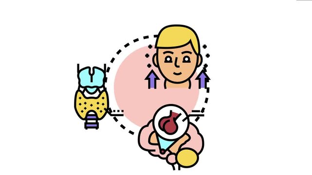 Anterior pituitary gland controlling thyroid hormone production, human endocrine system function and complex hormonal regulation in medical science and biological processes