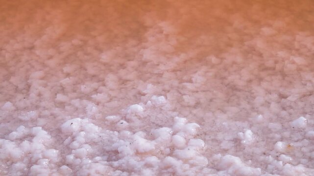 Crystallization of native salt on water surface (ice formation type). Hypersaline Lake. Red-brown water is by bacterias Dunaliella salina antioxidant, beta-carotene, cosmetics and dietary supplements