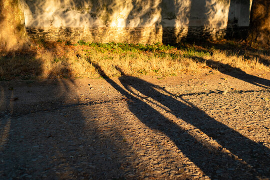Long shadows of a couple standing in a park cast across the ground during a solar eclipse in Paris, France. Crescent light patterns filter onto a stone wall behind them.