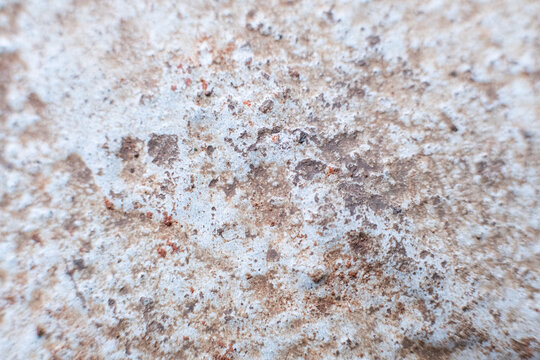 Weathered stone surface shows faint erosion patterns. 