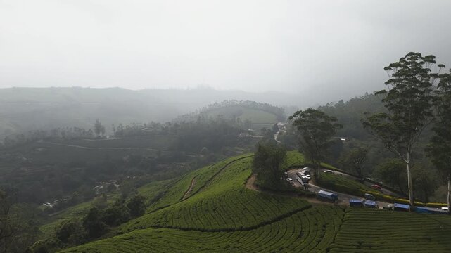 Aerial view of a scenic road in a misty tea terrace landscape of Munnar, Indai