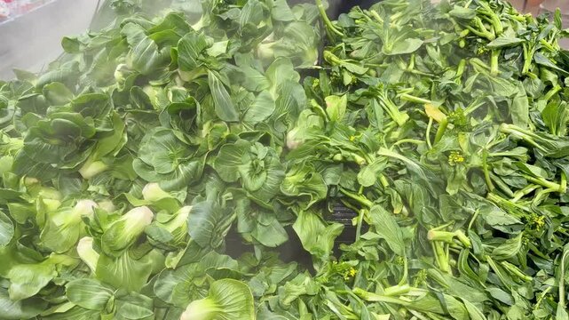 Fresh Leafy Greens and Herbs in Supermarket Produce Section 