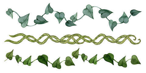 Watercolor trailing ivy vine garlands with green heart leaves horizontal jungle border set © Natali_Mias