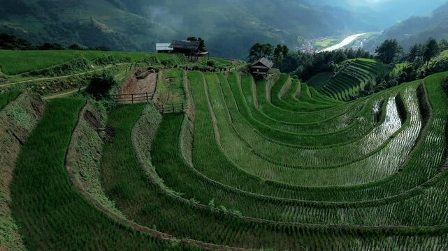Curved paddy fields and huts hugging mountain. U shaped freshly planted reflecting terraces with dramatic moving foreground. Aerial orbit, Vietnam