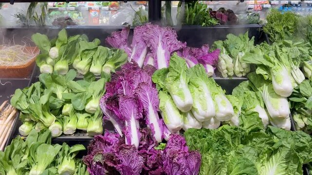 Fresh Leafy Greens and Herbs in Supermarket Produce Section 