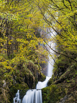 Waterfall cascading over mossy rocks in a dense autumn forest, outdoor tourism destination for nature adventure, exploration, Goriuda waterfall, Julian Alps, Chiusaforte, Friuli, Italy.