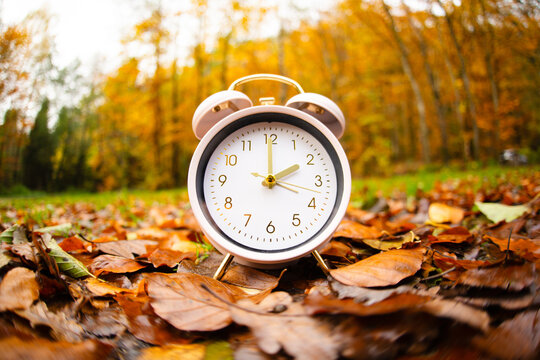 End of daylight saving time in autumn, winter time changeover, alarm clock fall back switch, colorful foliage in forest