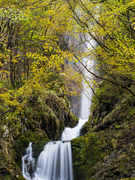Stunning waterfall cascading through vibrant autumn forest landscape for outdoor tourism and nature exploration at the remote Goriuda waterfall, Julian Alps, Chiusaforte, Friuli, Italy, Europe.