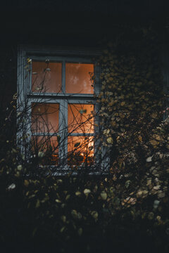 Laane County, Estonia - 31 October 2024: View of a window with a warm interior glow framed by dark, bare branches and autumn foliage on Vormsi island.