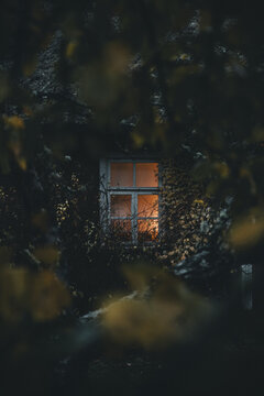 Laane County, Estonia - 31 October 2024: View of a glowing window on Vormsi island framed by dark autumn foliage in the evening.