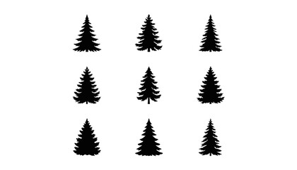 Fototapeta premium Nine black silhouette pine trees evergreen conifer