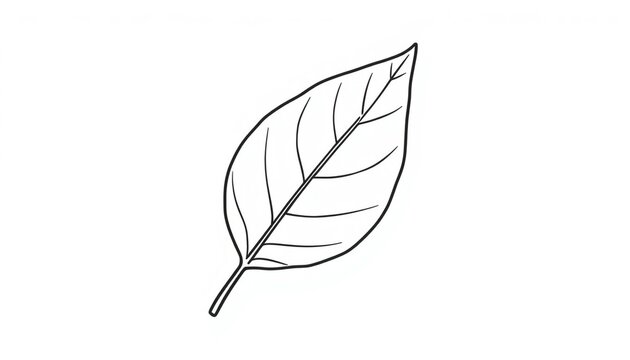 Single elegant leaf outline vector icon for botanical design and nature-themed projects
