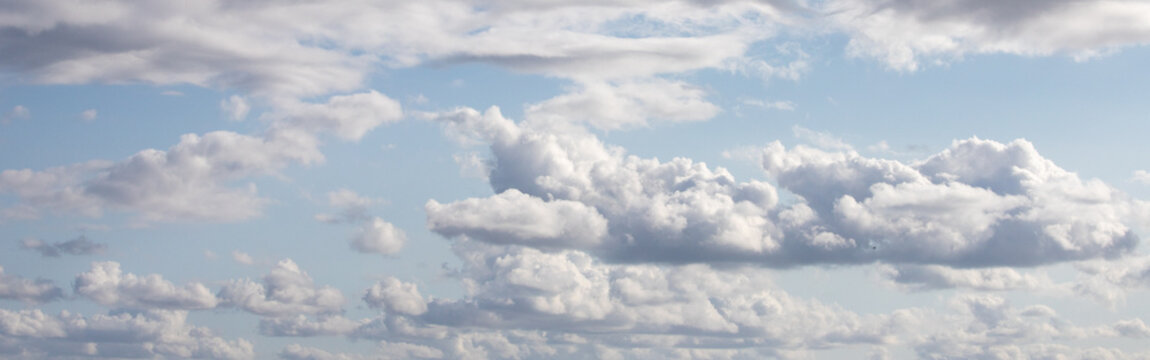 Blue sky filled with soft white cumulus clouds