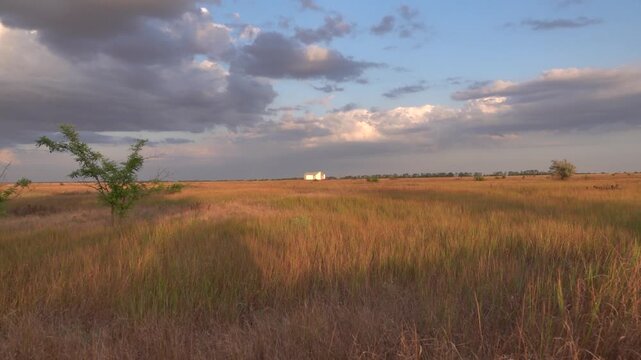 A dry wasteland in the steppe zone. Black Sea region. An abandoned farm with a house