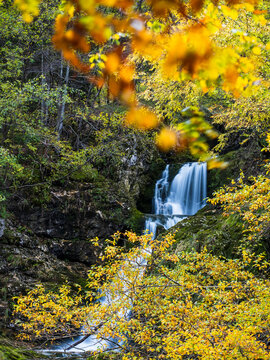 Goriuda waterfall cascading over mossy rocks framed by vibrant autumn leaves for scenic outdoor nature travel and exploration, Goriuda waterfall, Julian Alps, Chiusaforte, Friuli, Italy, Europe.