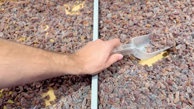 Hand Filling Plastic Bag with Dried Grapes in Self-Service Area