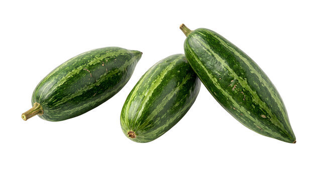 Fresh Pointed Gourd Parwal Isolated on White Background for Organic Indian Vegetable Concept