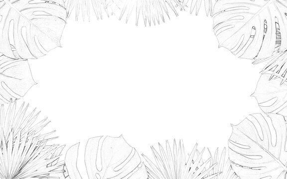 A delicate fern leaf sketch with intricate details is presented on transparent background foliage botanical plant leaves herbarium illustration drawing graphic vector design