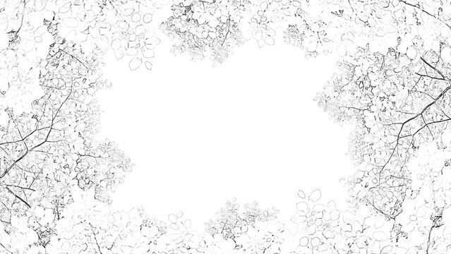 Detailed fern frond illustration with delicate lines and textures sits on transparent background foliage botanical herbarium plant leaves vector drawing sketch intricate organic