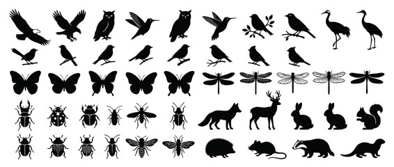 Obraz premium Silhouette Collection of Various Animals and Insects