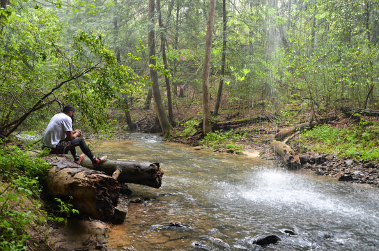 Forest Bathing in the Bankhead National Forest 