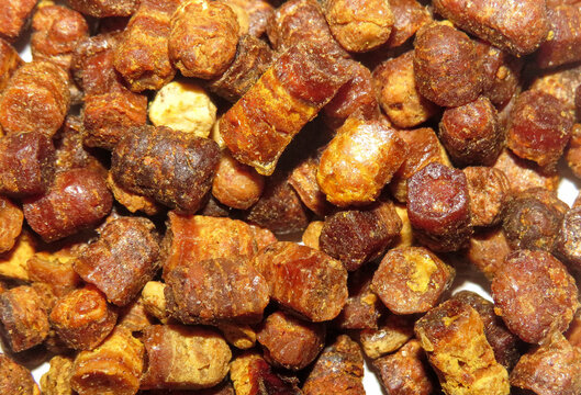 Pile of bee bread. Beehive product