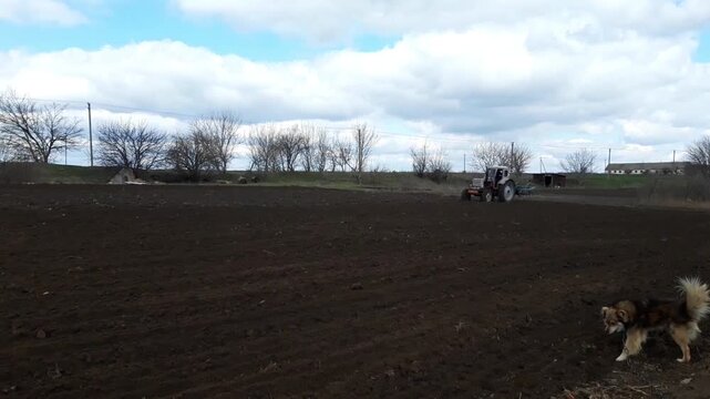 The tractor is driving backwards. A harrow is attached to the tractor.