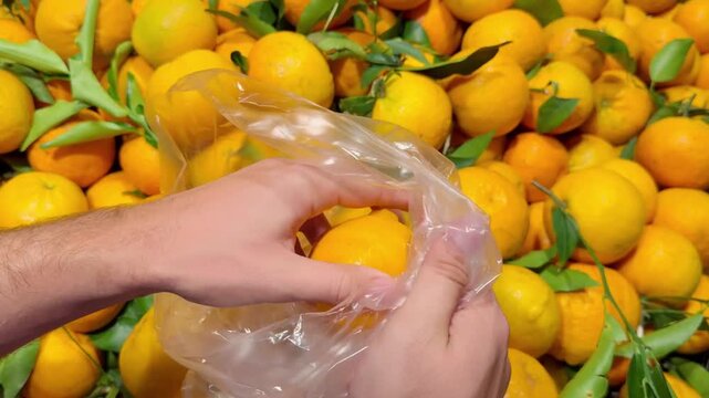 Fresh Mandarin Oranges with Green Leaves Displayed at Supermarket &ndash; Customer Packing Branch