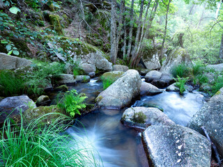 Arroyo del Chorro © ABUELO RAMIRO