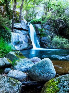 Charco de la Hoya en primavera