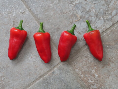 Sweet red peppers, variety Lipstick, on a tiled background