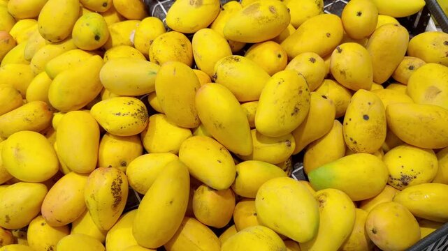 Fresh Tropical Fruits on Display in Supermarket Produce Section &ndash; Assorted Mangoes, Dragon Fruit and Passion Fruit Stacked at the Vegetable Counter