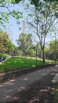 Vertical view of peaceful green park pathway in Yogyakarta